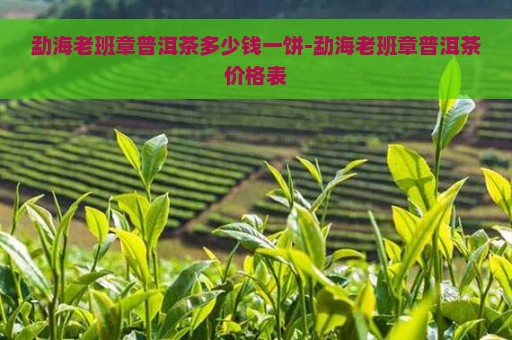 勐海老班章普洱茶多少钱一饼-勐海老班章普洱茶价格表