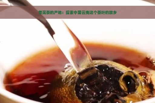 普洱茶的产地：探索中国云南这个茶叶的故乡