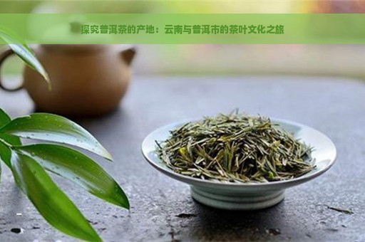 探究普洱茶的产地：云南与普洱市的茶叶文化之旅