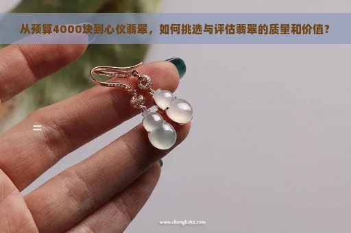 从预算4000块到心仪翡翠，如何挑选与评估翡翠的质量和价值？