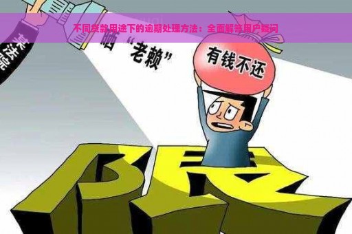 不同贷款用途下的逾期处理方法：全面解答用户疑问