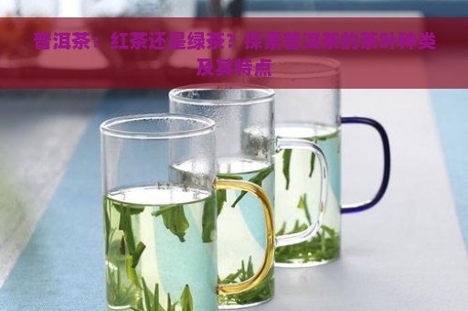 普洱茶：红茶还是绿茶？探索普洱茶的茶叶种类及其特点