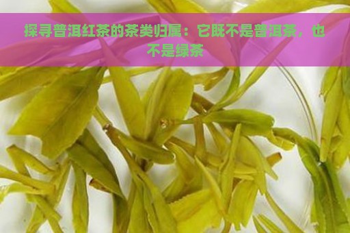 探寻普洱红茶的茶类归属：它既不是普洱茶，也不是绿茶