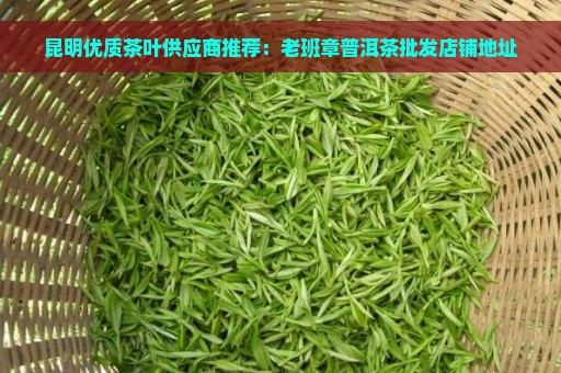 昆明优质茶叶供应商推荐：老班章普洱茶批发店铺地址