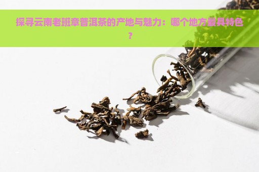 探寻云南老班章普洱茶的产地与魅力：哪个地方最具特色？