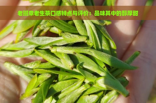 老班章老生茶口感特点与评价：品味其中的醇厚甜