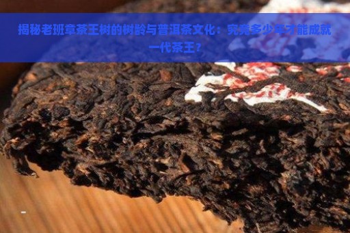 揭秘老班章茶王树的树龄与普洱茶文化：究竟多少年才能成就一代茶王？