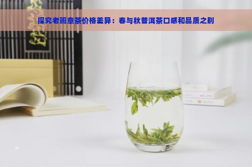 探究老班章茶价格差异：春与秋普洱茶口感和品质之别