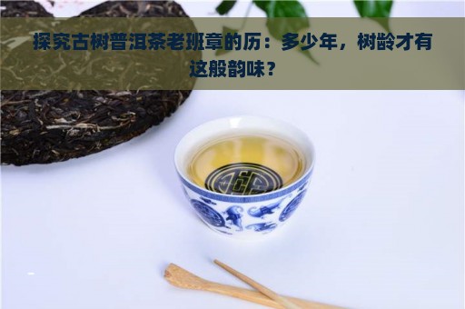 探究古树普洱茶老班章的历：多少年，树龄才有这般韵味？