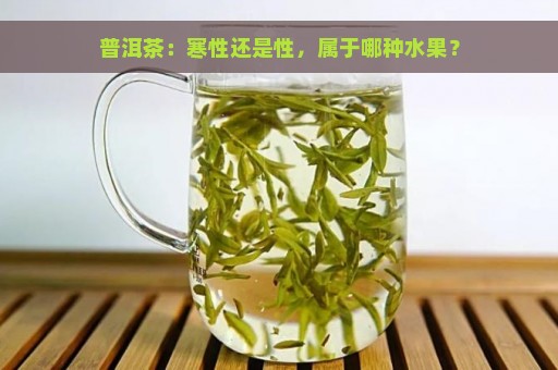 普洱茶：寒性还是性，属于哪种水果？