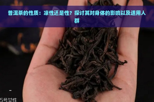 普洱茶的性质：凉性还是性？探讨其对身体的影响以及适用人群