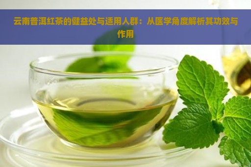 云南普洱红茶的健益处与适用人群：从医学角度解析其功效与作用