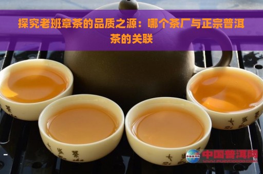 探究老班章茶的品质之源：哪个茶厂与正宗普洱茶的关联