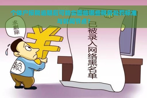 个体户报税逾期后可能会面临哪些税务处罚标准与时间节点？