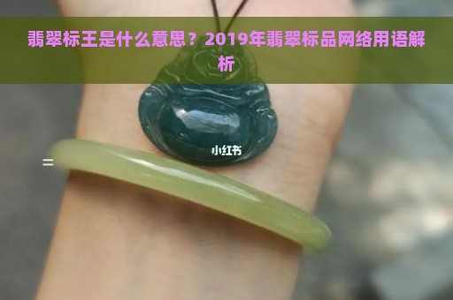 翡翠标王是什么意思？2019年翡翠标品网络用语解析