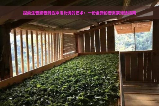 探索生普熟普混合冲泡比例的艺术：一份全新的普洱茶泡法指南