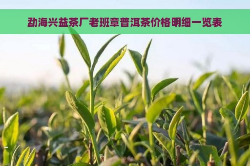 勐海兴益茶厂老班章普洱茶价格明细一览表