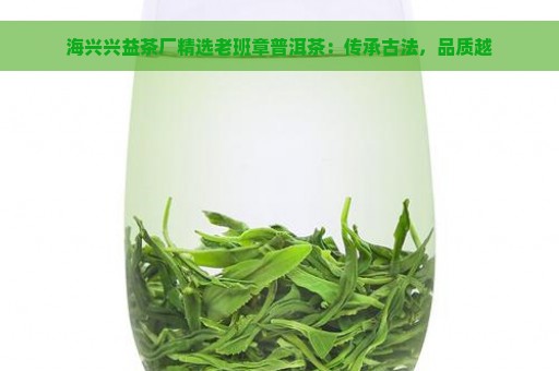 海兴兴益茶厂精选老班章普洱茶：传承古法，品质越