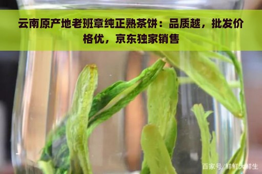 云南原产地老班章纯正熟茶饼：品质越，批发价格优，京东独家销售