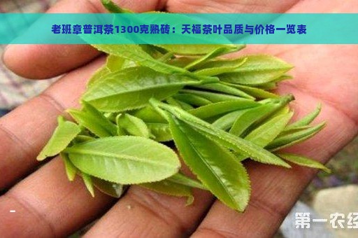 老班章普洱茶1300克熟砖：天福茶叶品质与价格一览表