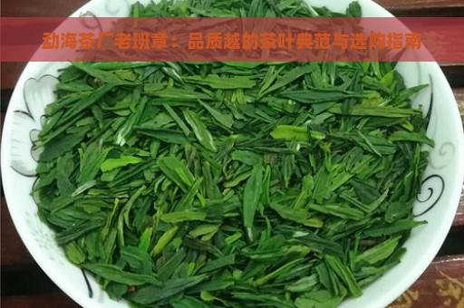 勐海茶厂老班章：品质越的茶叶典范与选购指南