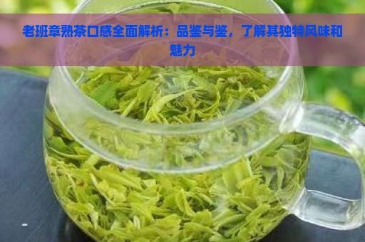 老班章熟茶口感全面解析：品鉴与鉴，了解其独特风味和魅力