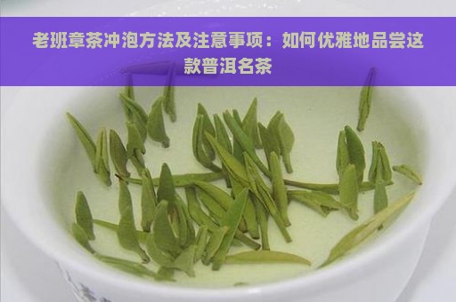 老班章茶冲泡方法及注意事项：如何优雅地品尝这款普洱名茶