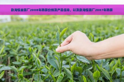 勐海恒益茶厂2008年熟茶价格及产品信息，以及勐海恒茶厂2007年熟茶