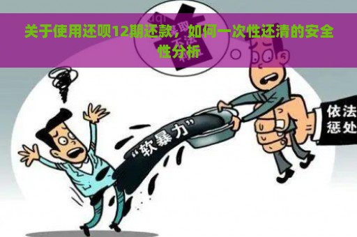 关于使用还呗12期还款，如何一次性还清的安全性分析