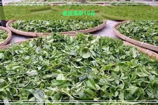 老班章茶10元