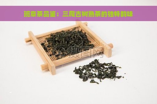 班章茶品鉴：三爬古树熟茶的独特韵味