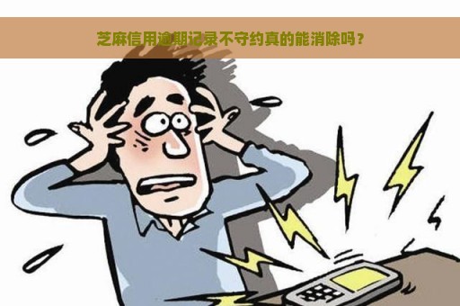 芝麻信用逾期记录不守约真的能消除吗？