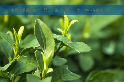 老班章茶饼价格：一只、一饼、一块、一个，2007年的多少钱？