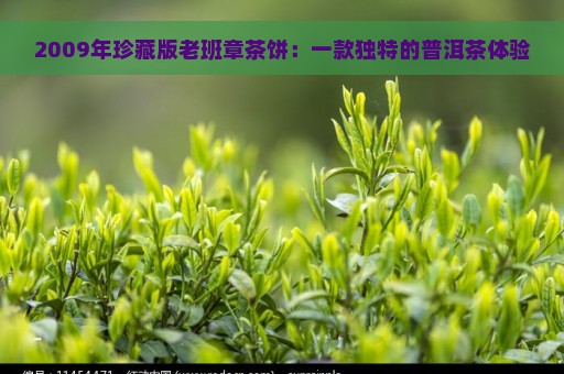 2009年珍藏版老班章茶饼：一款独特的普洱茶体验