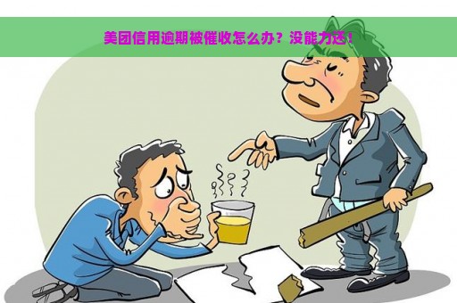 美团信用逾期被催收怎么办？没能力还！