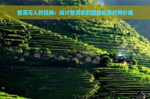 普洱可入药经典：探讨普洱茶的健益处及药用价值