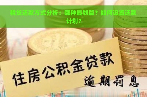 税贷还款方式分析：哪种最划算？如何设置还款计划？