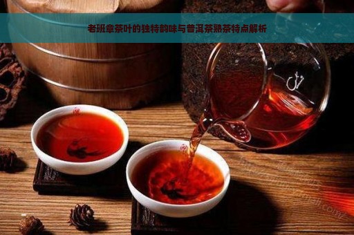 老班章茶叶的独特韵味与普洱茶熟茶特点解析