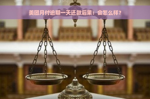 美团月付逾期一天还款后果：会怎么样？