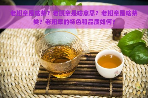 老班章是啥茶？老班章是啥意思？老班章是啥茶类？老班章的特色和品质如何？