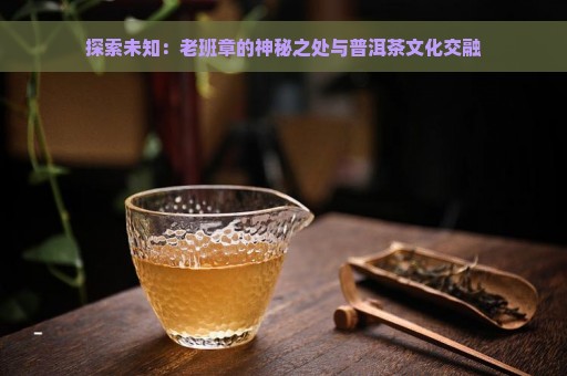 探索未知：老班章的神秘之处与普洱茶文化交融