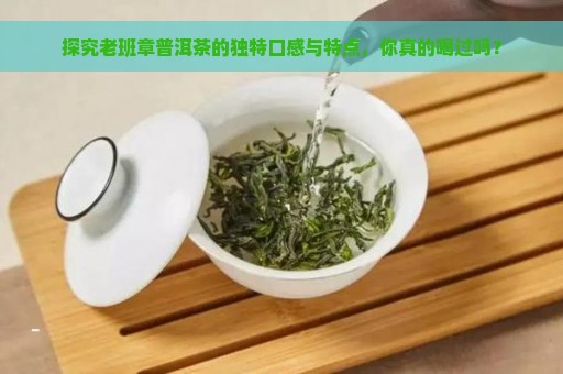 探究老班章普洱茶的独特口感与特点，你真的喝过吗？