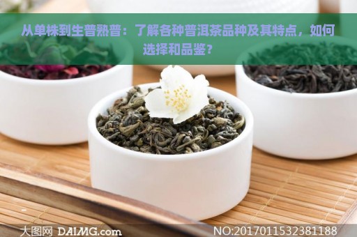 从单株到生普熟普：了解各种普洱茶品种及其特点，如何选择和品鉴？