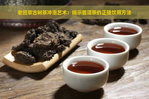 老班章古树茶冲泡艺术：揭示普洱茶的正确饮用方法