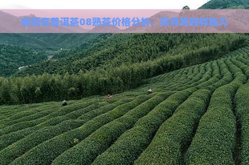 老班章普洱茶08熟茶价格分析，探寻其独特魅力