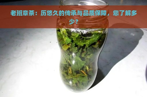 老班章茶：历悠久的传承与品质保障，您了解多少？