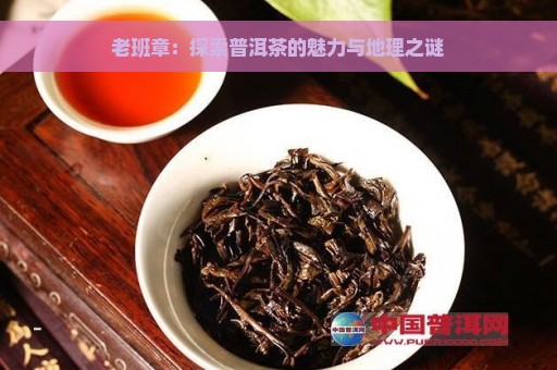 老班章：探索普洱茶的魅力与地理之谜