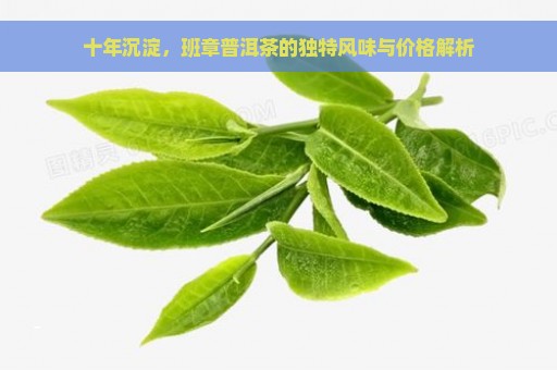 十年沉淀，班章普洱茶的独特风味与价格解析