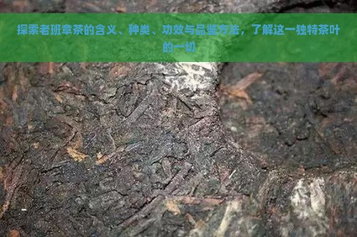 探索老班章茶的含义、种类、功效与品鉴方法，了解这一独特茶叶的一切