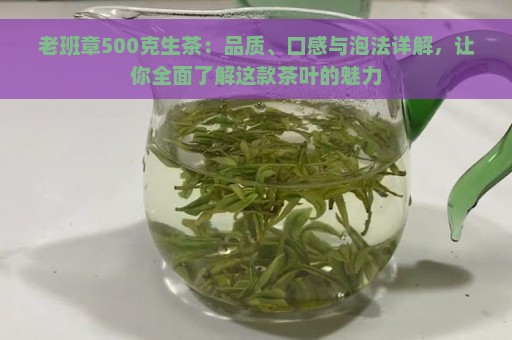 老班章500克生茶：品质、口感与泡法详解，让你全面了解这款茶叶的魅力